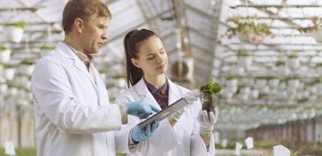 Curso de I+D+I en la industria alimentaria en Los Realejos (Santa Cruz de Tenerife)